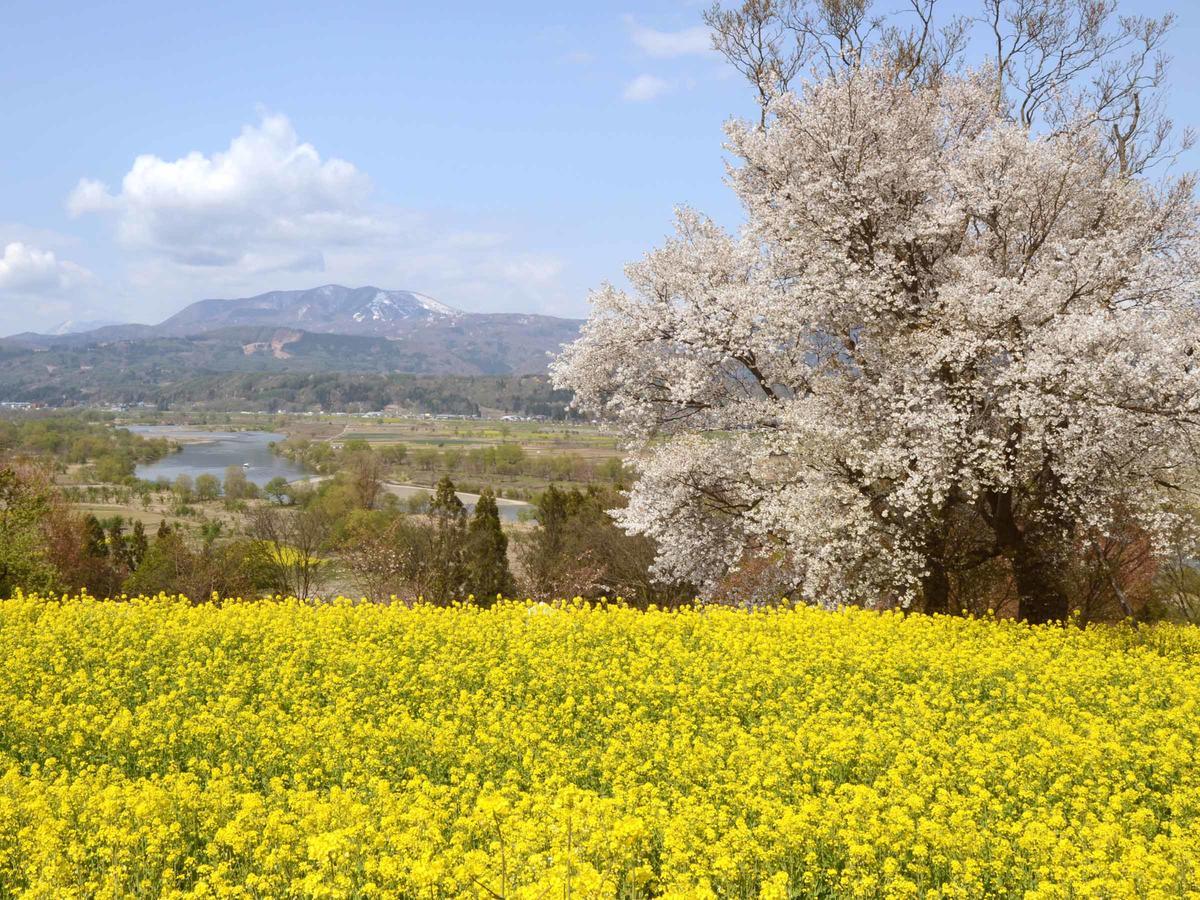 Togari Onsen Alpen Plaza Hotell Iiyama Exteriör bild